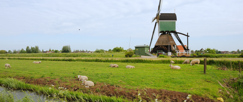 Holland