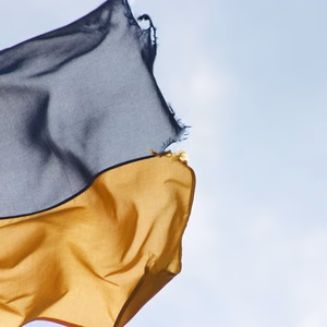 ukraina lipp