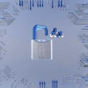 IT security